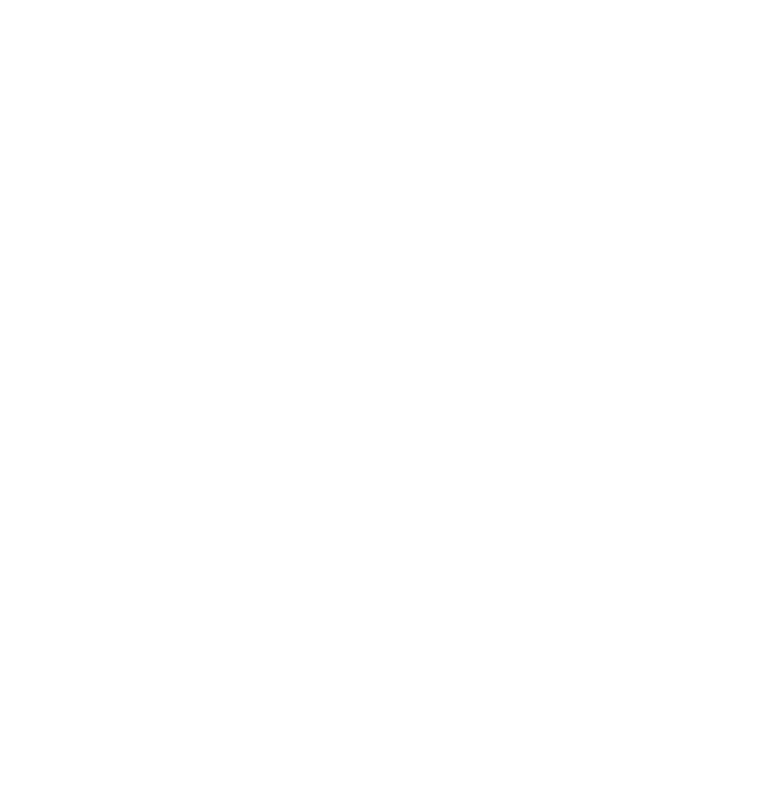 Tesla Wall Connector